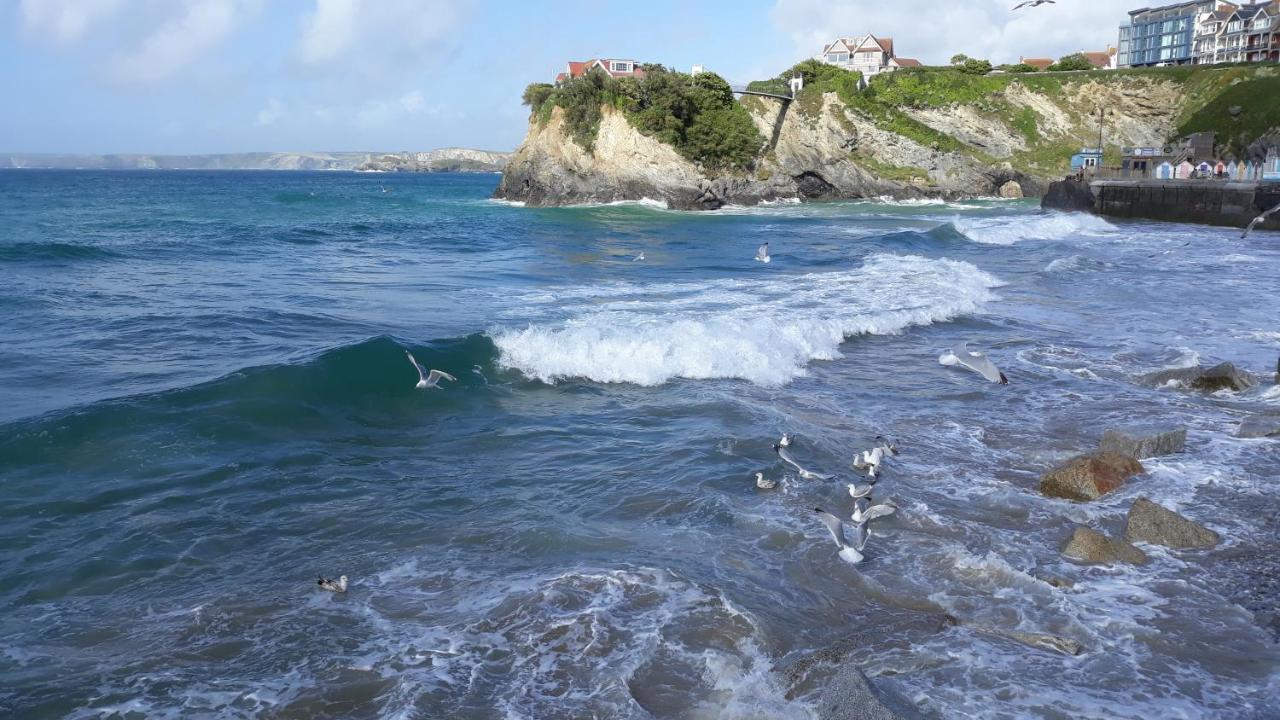Blue Room Hostel Newquay นิวคีย์ ภายนอก รูปภาพ